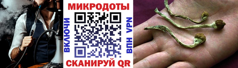 Галлюциногенные грибы мицелий Новое Девяткино